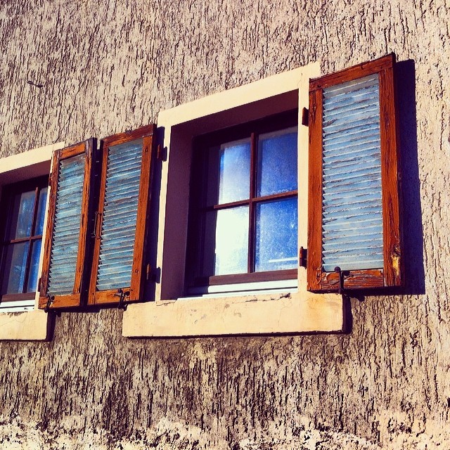 Les v vaših oknih